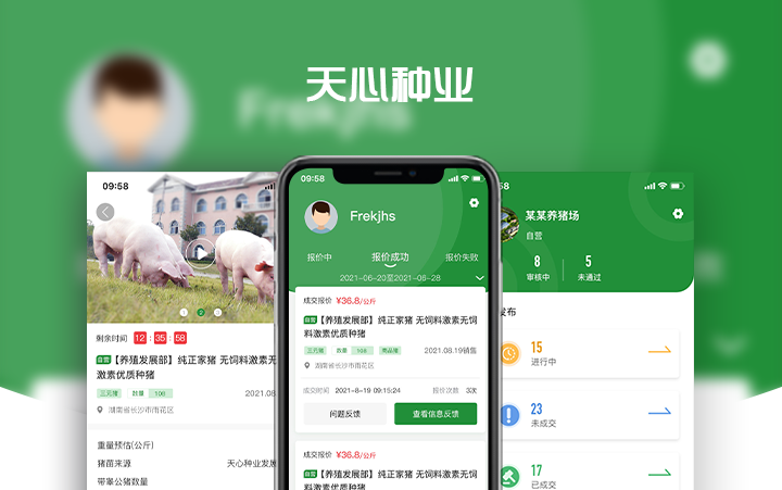 天心種業(yè)股份生豬競價APP
