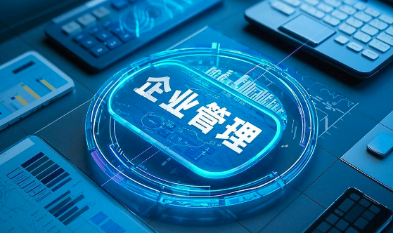 企業(yè)信息化開發(fā)的好處以及優(yōu)勢(shì)